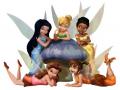fairies laro 