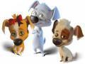 Belka at Strelka games 