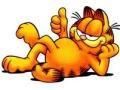 Garfield laro 