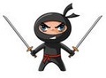 Ninja laro 
