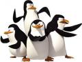 Penguins ng Madagascar laro 