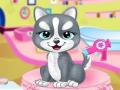 Animal games online 