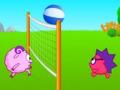 Volleyball games 