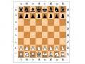 Mga laro sa chess 
