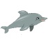 Dolphin show games 
