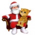 Santa Claus laro 